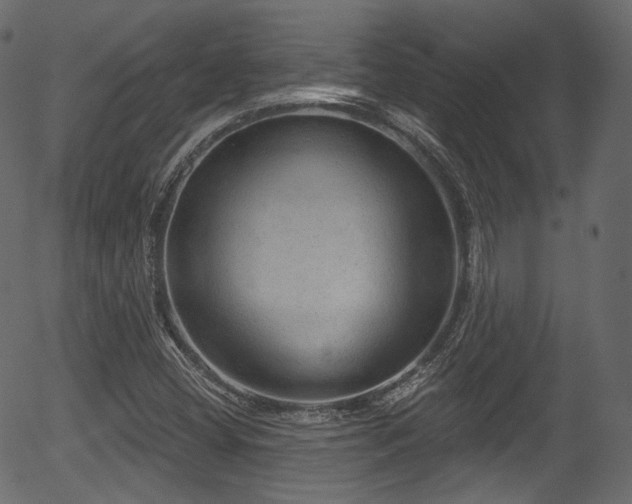 X0000056351404200508291310