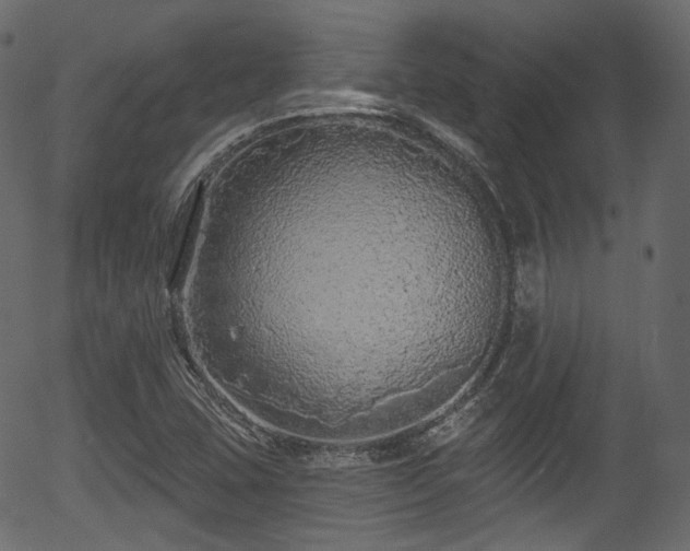 X0000056351407200508291310
