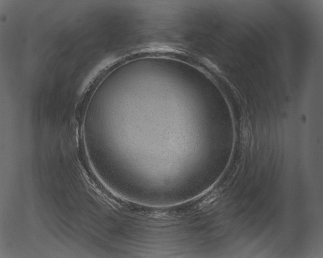 X0000056351408200508291310