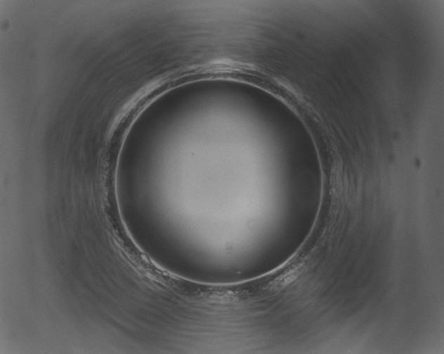 X0000056351410200508291310
