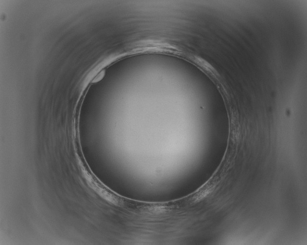 X0000056351431200508291310