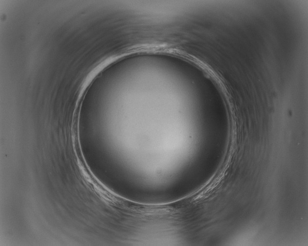 X0000056351440200508291310