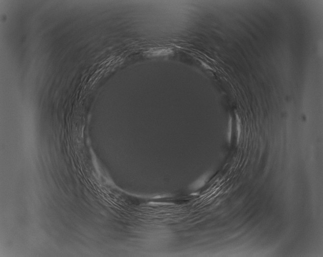 X0000056351441200508291310