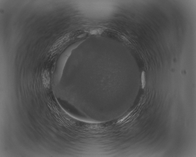 X0000056351443200508291310