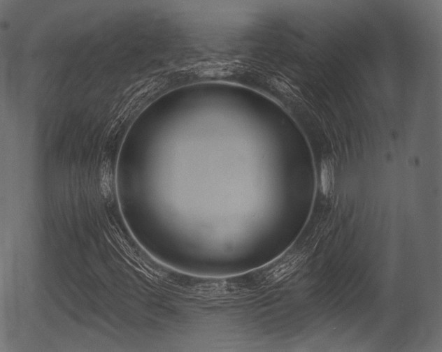 X0000056351444200508291310