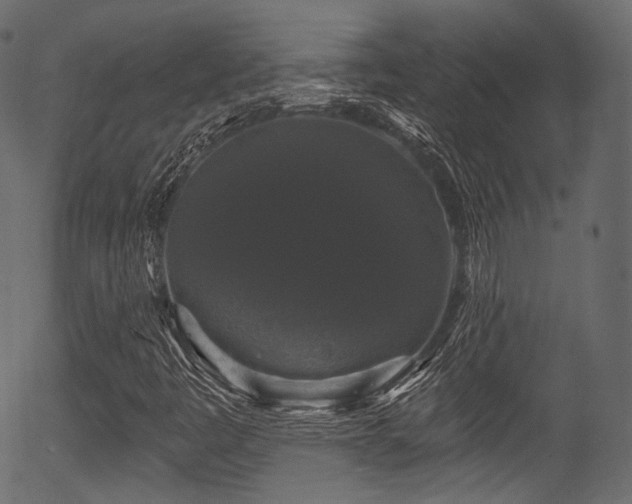 X0000056351445200508291310