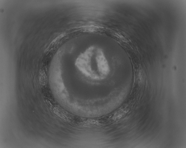 X0000056351446200508291309