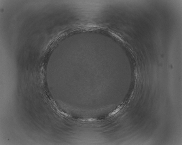 X0000056351447200508291309