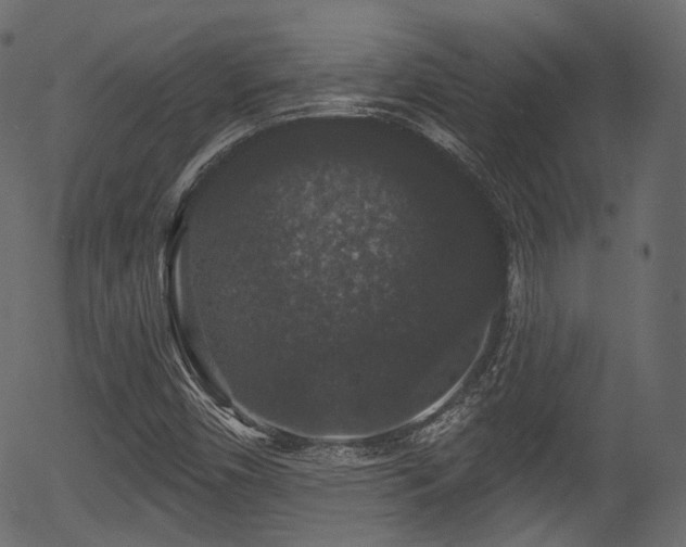 X0000056351450200508291309