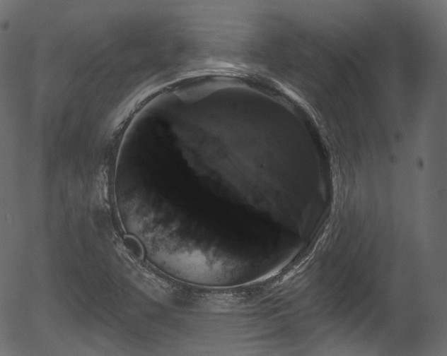 X0000056351455200508291309