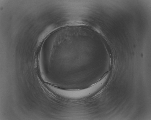 X0000056351459200508291309