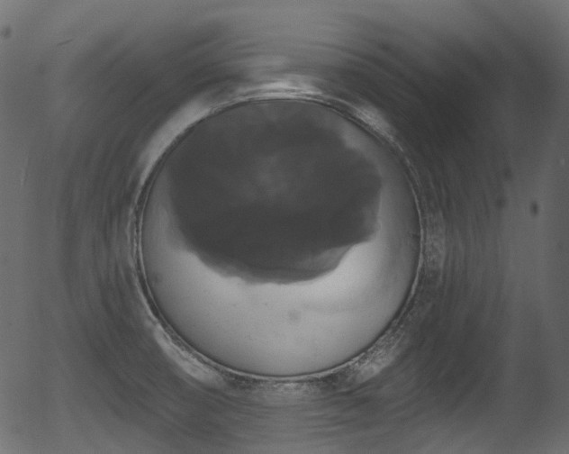 X0000056351474200508291309