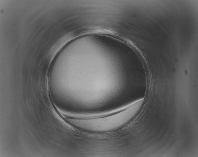X0000056351476200508291309