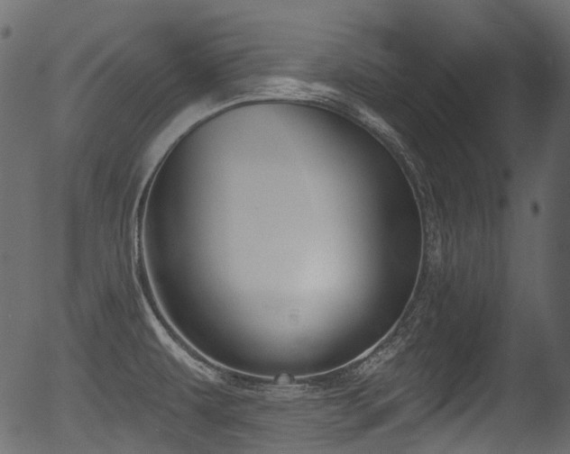 X0000056351479200508291309