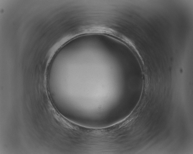 X0000056351480200508291309