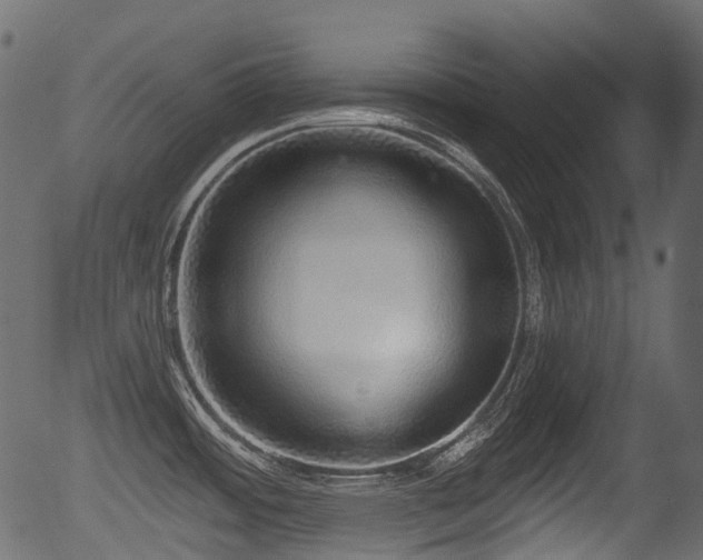 X0000056351484200508291309