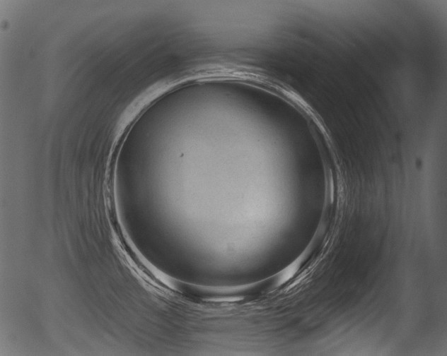 X0000056351485200508291309