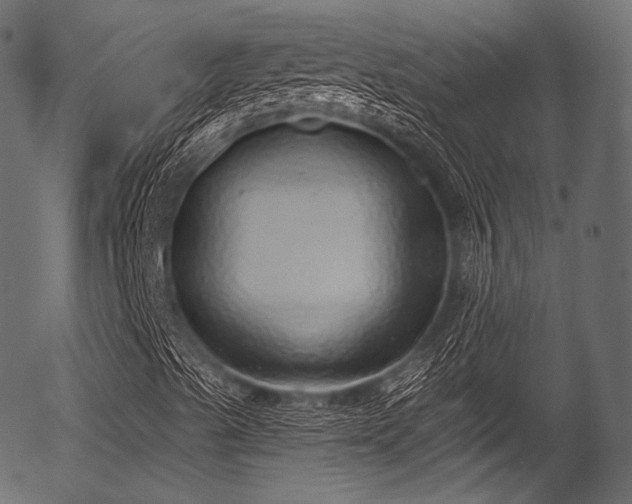 X0000056351489200508291308