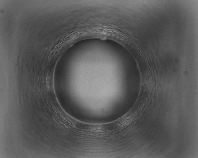 X0000056351490200508291308
