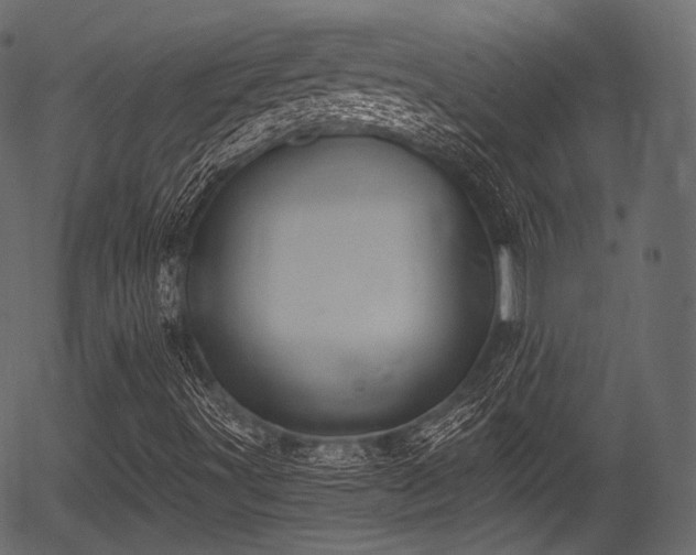 X0000056351491200508291308