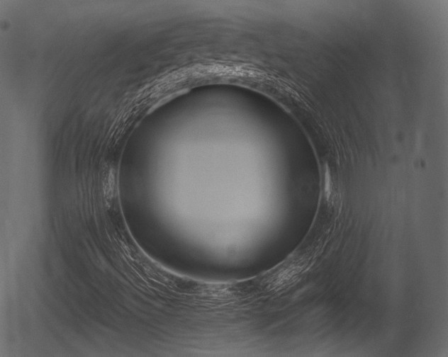 X0000056351492200508291308