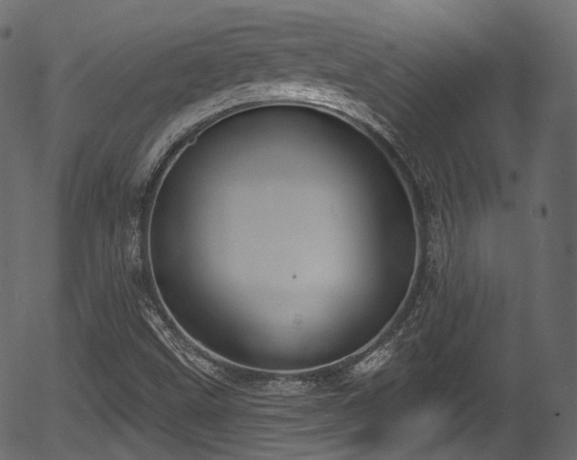 X0000056351499200508291308