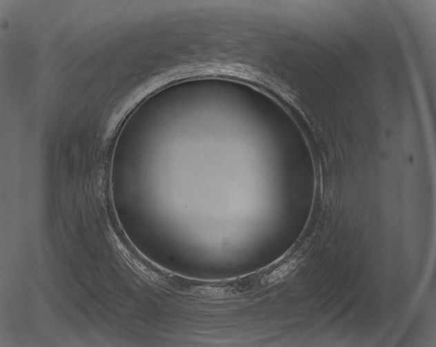 X0000056351500200508291308