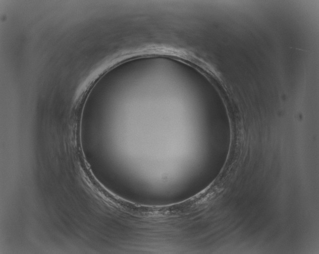 X0000056351504200508291308