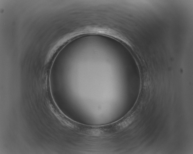 X0000056351507200508291308