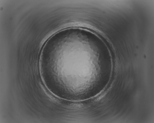 X0000056351513200508291308