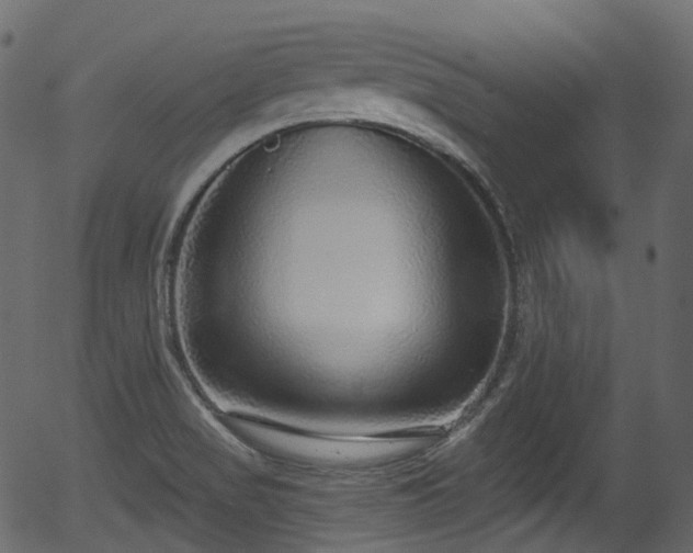X0000056351517200508291308