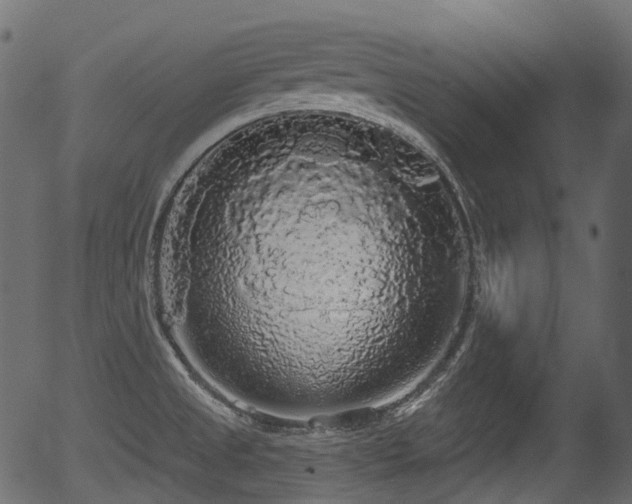 X0000056351525200508291309