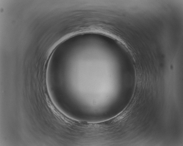 X0000056351534200508291309