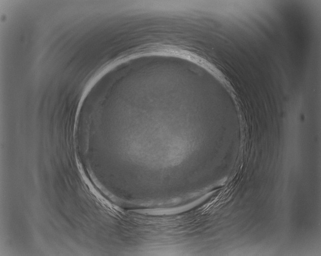 X0000056351536200508291309