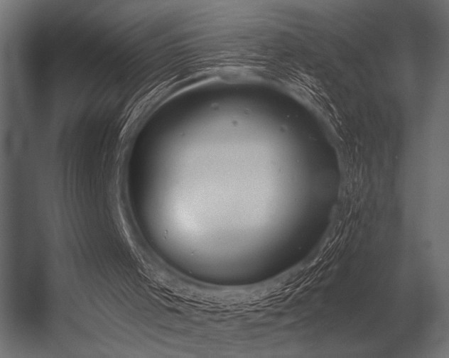 X0000056350001200509021734