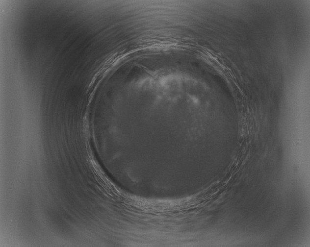 X0000056350002200509021734