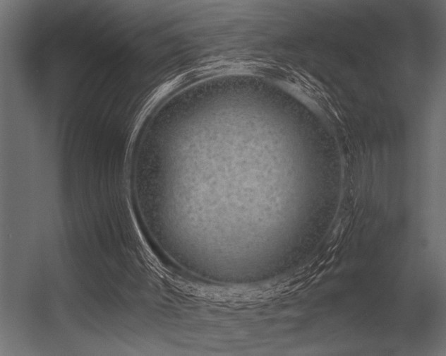 X0000056350003200509021734