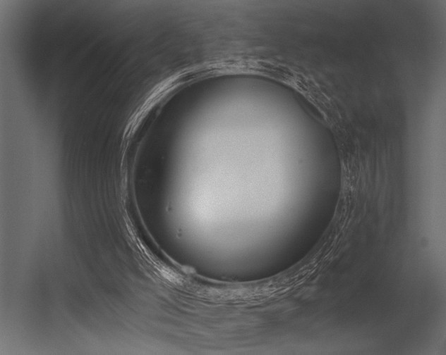 X0000056350005200509021734