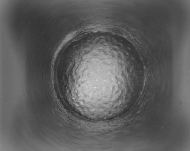 X0000056350006200509021734