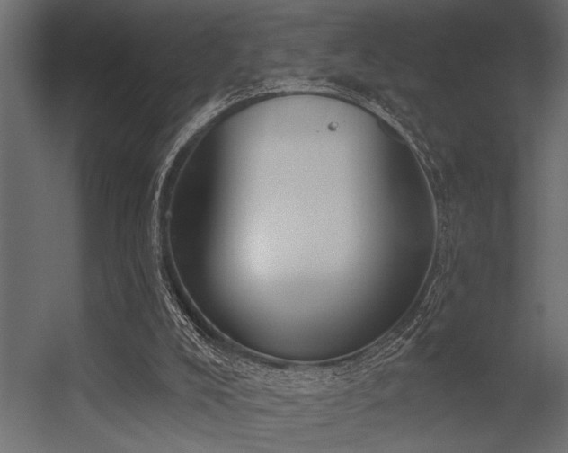 X0000056350008200509021734