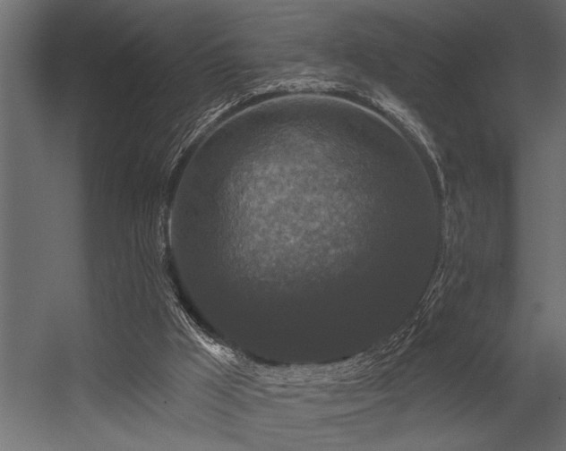 X0000056350009200509021734