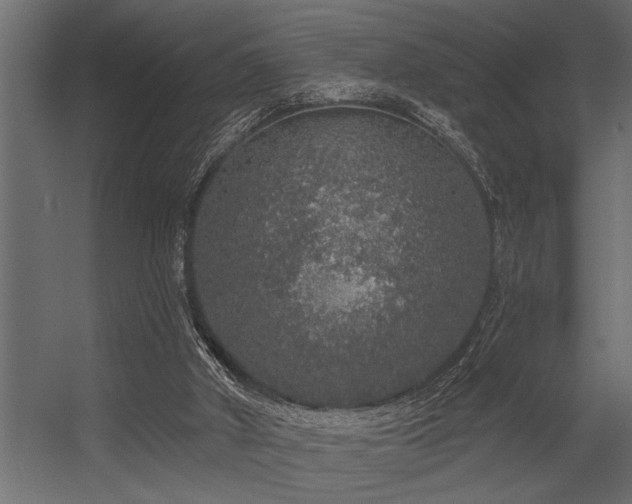 X0000056350010200509021734