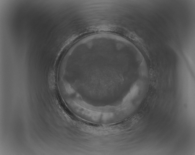 X0000056350012200509021734