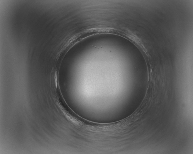 X0000056350013200509021734