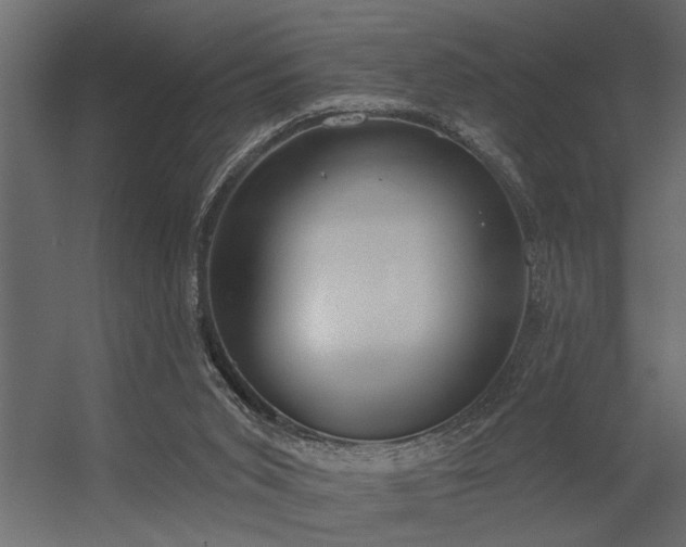 X0000056350015200509021734