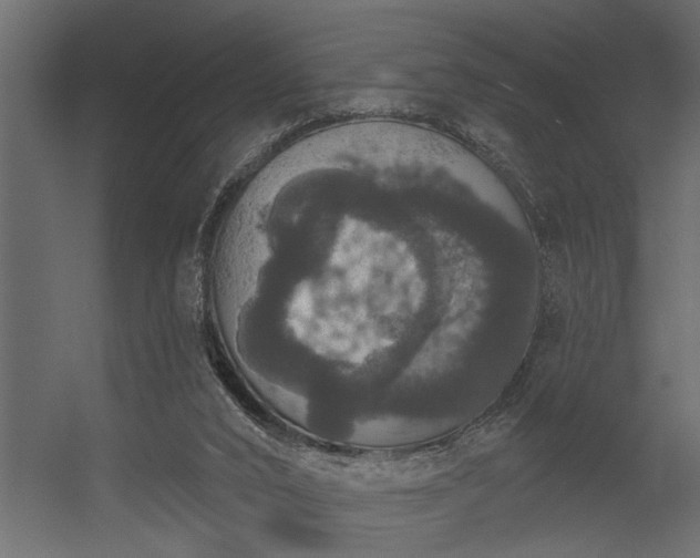 X0000056350016200509021734