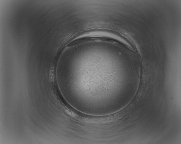 X0000056350017200509021734