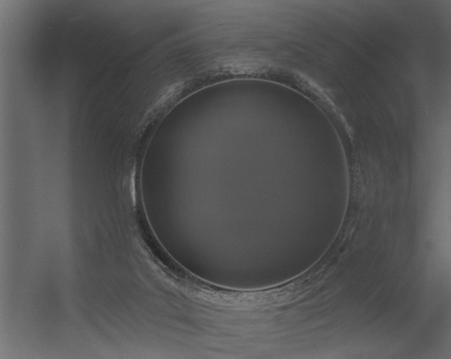 X0000056350019200509021734