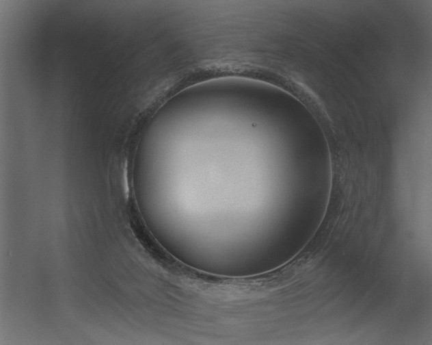 X0000056350020200509021734