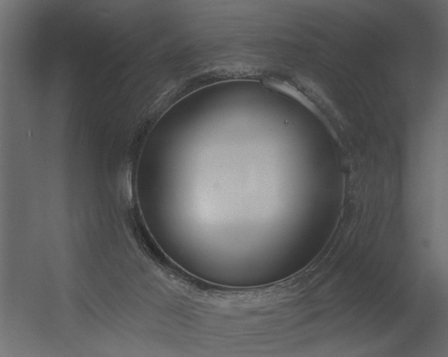 X0000056350021200509021734